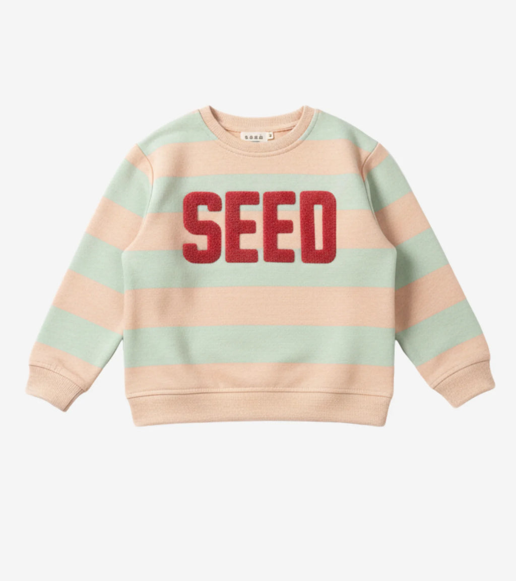 Kids Striped SEED Graphic Sweatshirt