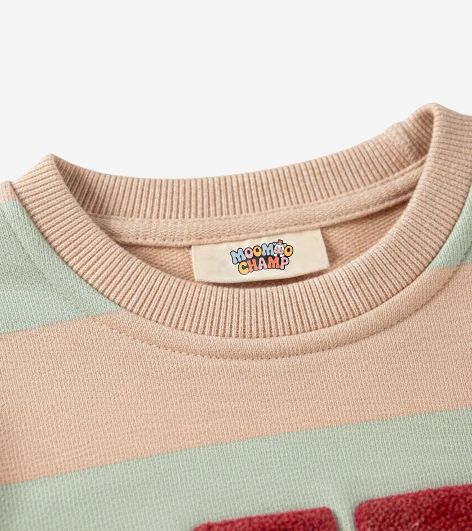 Kids Striped SEED Graphic Sweatshirt