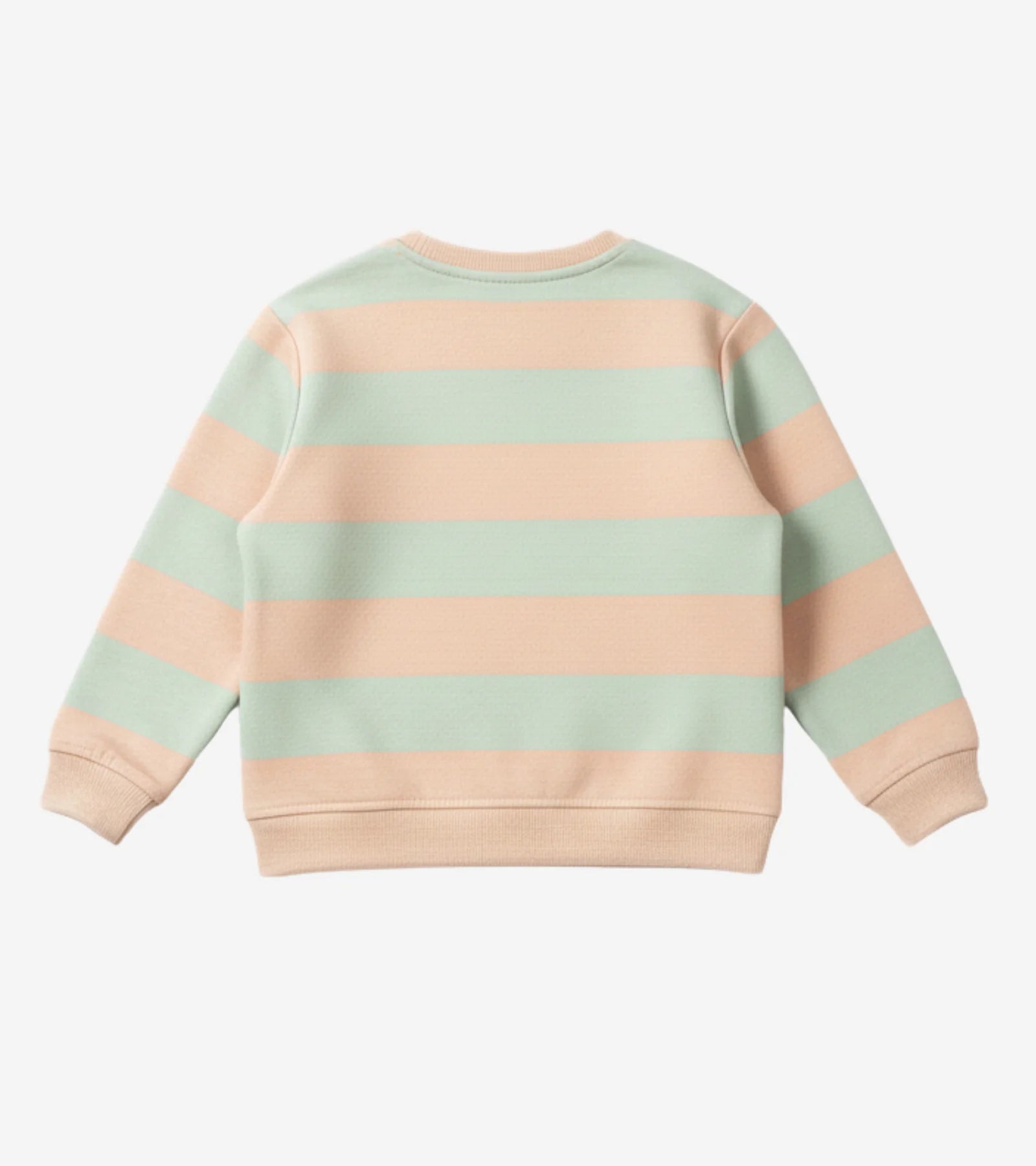Kids Striped SEED Graphic Sweatshirt