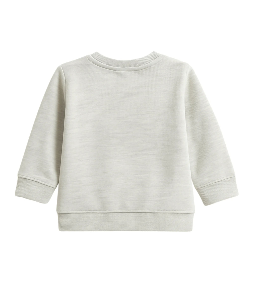 Kids Gray Baby Donhuer Fleece Sweatshirt – Unisex